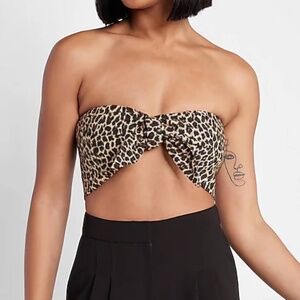 NWT Express Leopard Print Tie Front Bandeau Top. Small